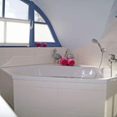 Seeschwalbe Comfortable