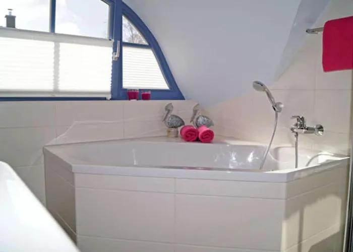 Seeschwalbe Comfortable